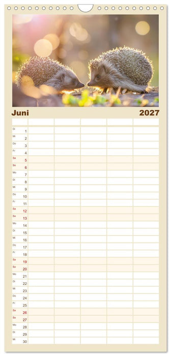Mein Igel-Kalender (CALVENDO Familienplaner 2027)