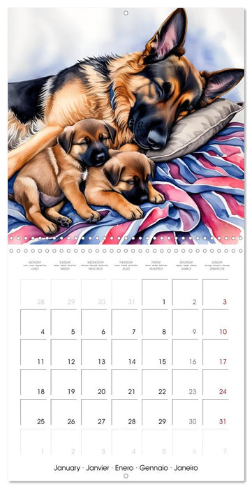 Shepherd's Moments (CALVENDO Monthly Calendar 2027)