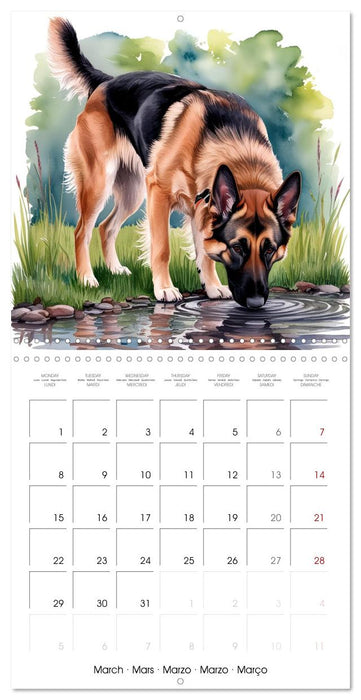 Shepherd's Moments (CALVENDO Monthly Calendar 2027)