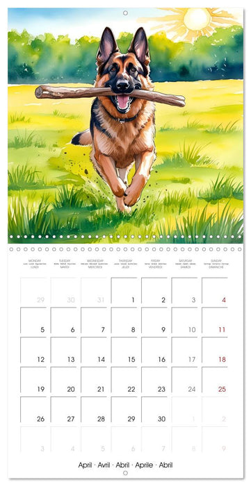 Shepherd's Moments (CALVENDO Monthly Calendar 2027)