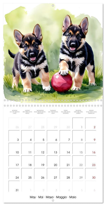 Shepherd's Moments (CALVENDO Monthly Calendar 2027)