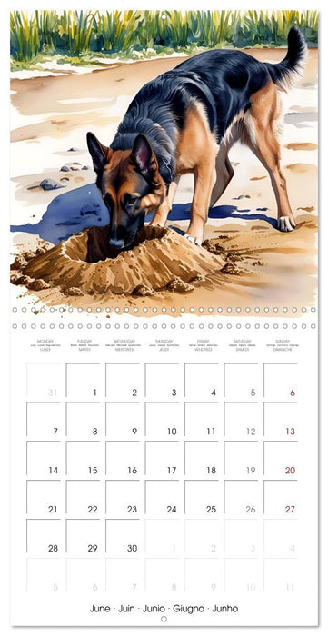 Shepherd's Moments (CALVENDO Monthly Calendar 2027)