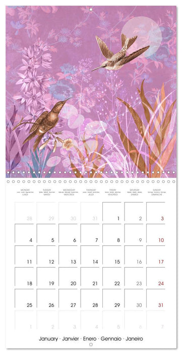 Lovely hummingbirds (CALVENDO Monthly Calendar 2027)