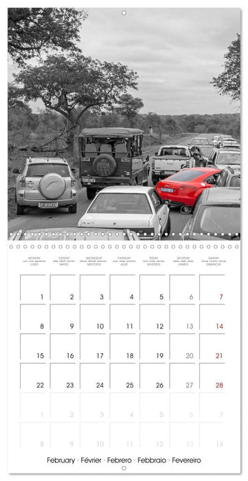 Red spots around the world (CALVENDO Monthly Calendar 2027)