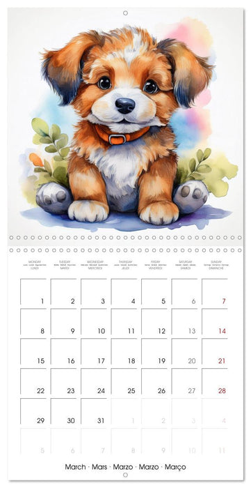 Renard Rexi et ses amis - mon premier agenda (CALVENDO Calendrier mensuel 2027)