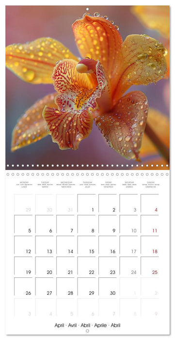 colorful orchid family planner (CALVENDO Monthly Calendar 2027)