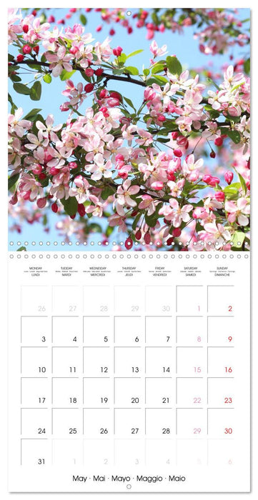 Printemps toute l'année (CALVENDO Calendrier mensuel 2027)