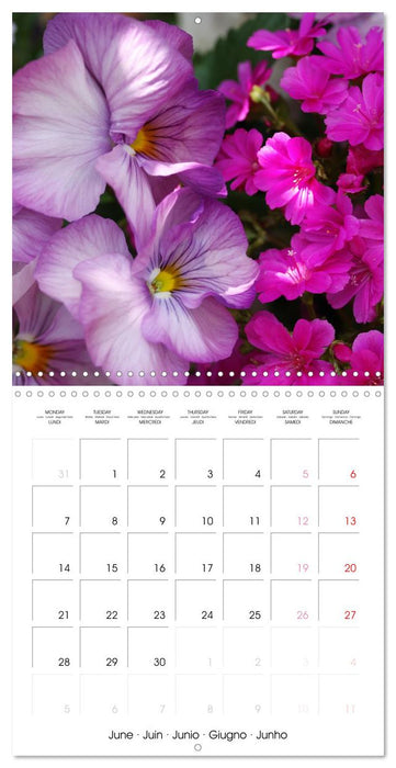 Printemps toute l'année (CALVENDO Calendrier mensuel 2027)