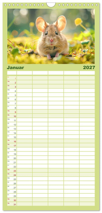 Eine Welt entzückend kleiner Tierchen (CALVENDO Familienplaner 2027)