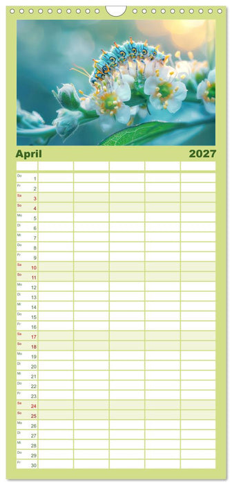 Eine Welt entzückend kleiner Tierchen (CALVENDO Familienplaner 2027)