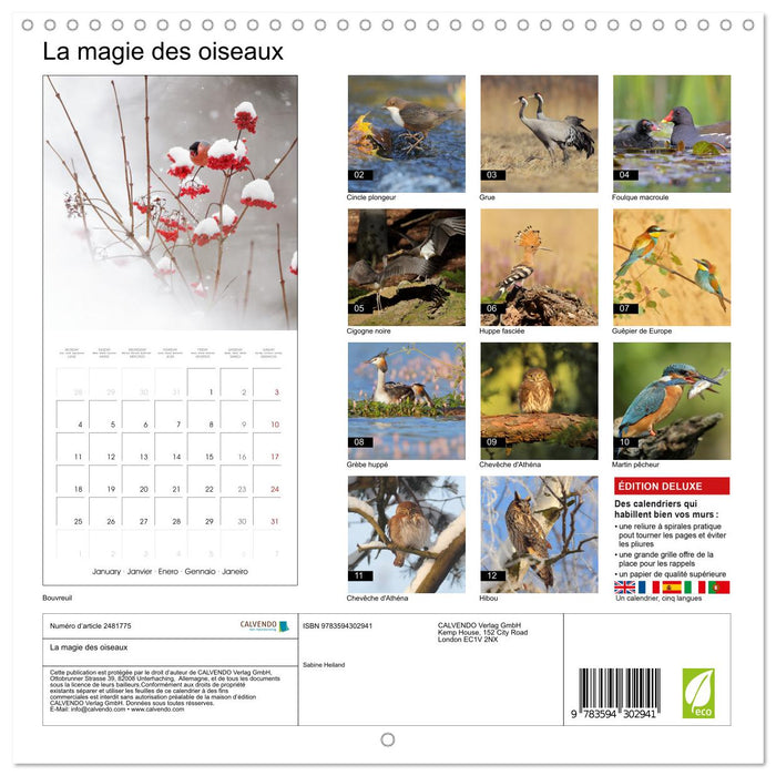 La magie des oiseaux (CALVENDO Calendrier mensuel 2027)