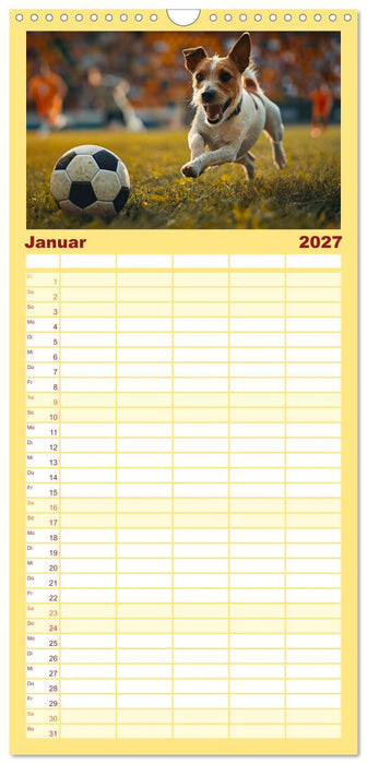 Tierische Balljunkies (CALVENDO Familienplaner 2027)