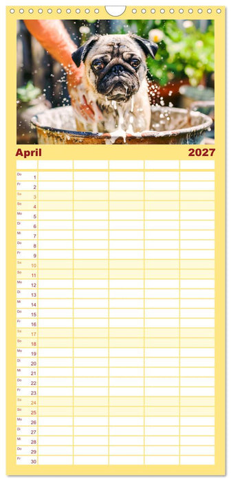 Mops-Mania - Der Spaßkalender für Mops-Fans (CALVENDO Familienplaner 2027)