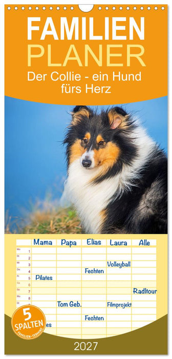 Der Collie - ein Hund fürs Herz (CALVENDO Familienplaner 2027)
