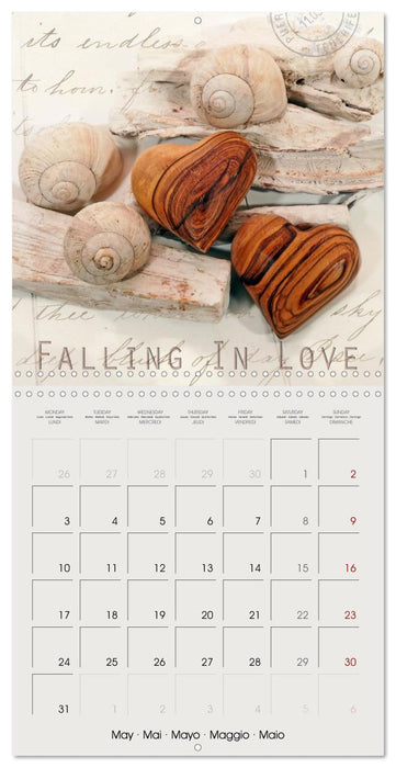 Special hearts in wonderful still lifes (CALVENDO Monthly Calendar 2027)