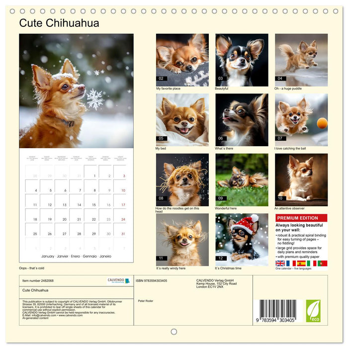 Cute Chihuahua (CALVENDO Monthly Calendar 2027)
