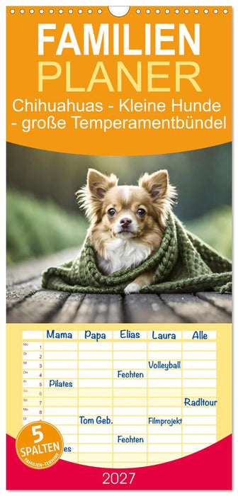 Chihuahuas - Kleine Hunde - große Temperamentbündel (CALVENDO Familienplaner 2027)
