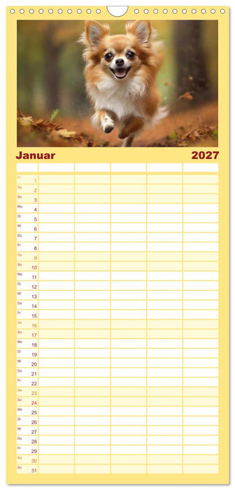 Chihuahuas - Kleine Hunde - große Temperamentbündel (CALVENDO Familienplaner 2027)