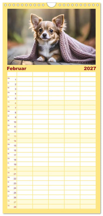 Chihuahuas - Kleine Hunde - große Temperamentbündel (CALVENDO Familienplaner 2027)