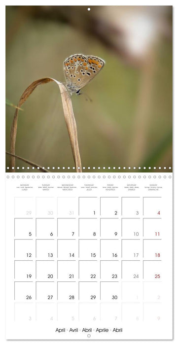 Espèces de Nouvelle Aquitaine (CALVENDO Calendrier mensuel 2027)