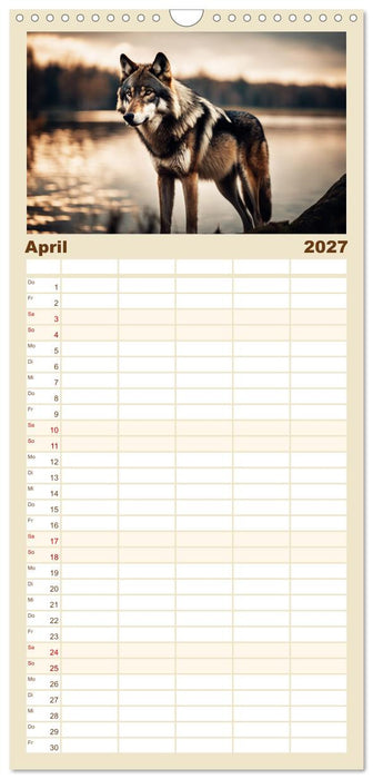 Ein Jahr unter Wölfen (CALVENDO Familienplaner 2027)