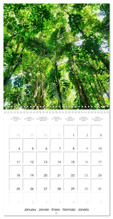 Guadeloupe - Une île colorée des Caraïbes (CALVENDO Calendrier mensuel 2027)