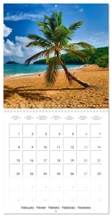 Guadeloupe - Une île colorée des Caraïbes (CALVENDO Calendrier mensuel 2027)