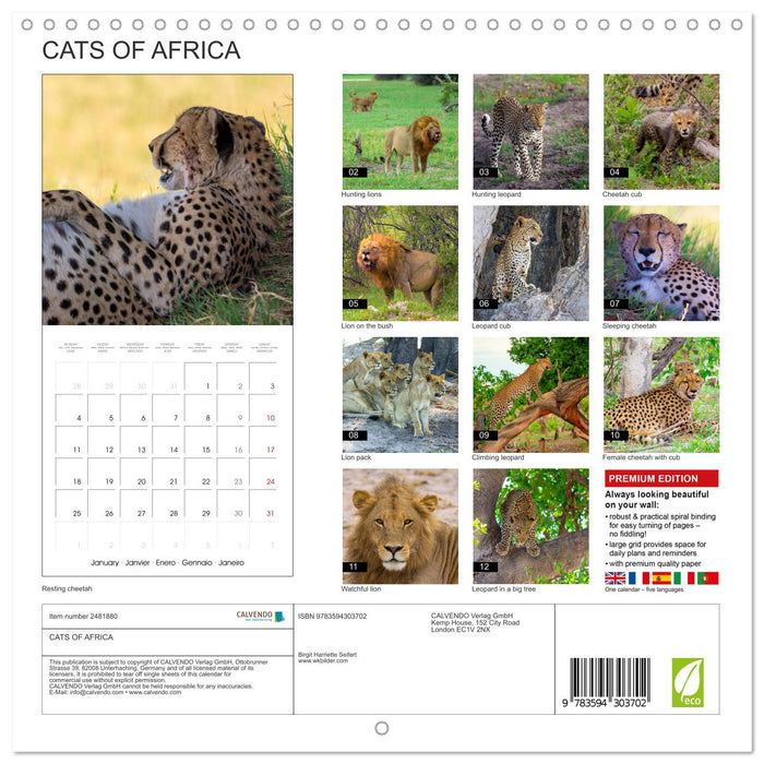 CATS OF AFRICA (CALVENDO Monthly Calendar 2027)