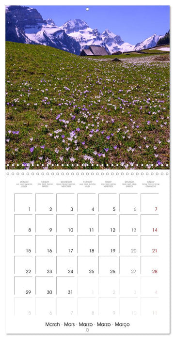 Beautiful Switzerland (CALVENDO Monthly Calendar 2027)
