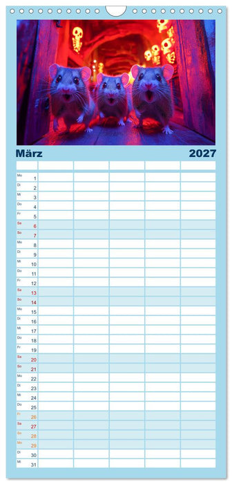 Hamster im Freizeitpark - Lustiger Kalender mit Jahrmarkt-Motiven (CALVENDO Familienplaner 2027)