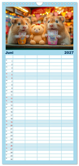 Hamster im Freizeitpark - Lustiger Kalender mit Jahrmarkt-Motiven (CALVENDO Familienplaner 2027)