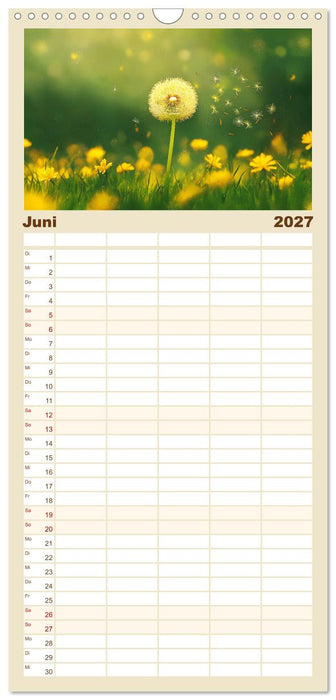 Minimalistische Naturmomente – Ruhe und Schönheit in der Natur (CALVENDO Familienplaner 2027)