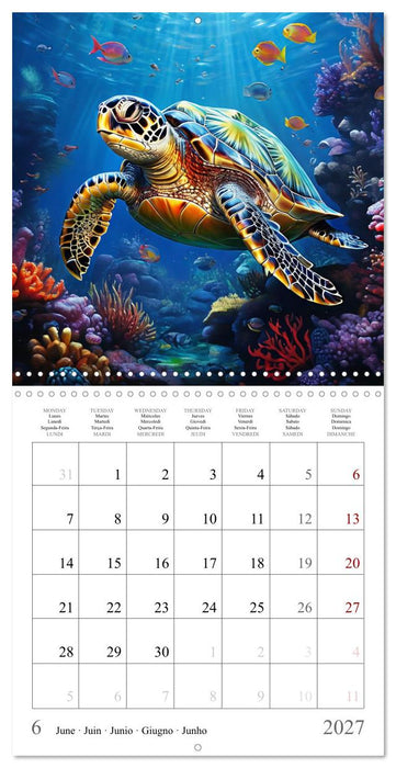Sea Life - Coral Reef Animals (CALVENDO Monthly Calendar 2027)