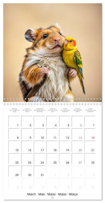 Hamster heart and paw friends (CALVENDO Monthly Calendar 2027)