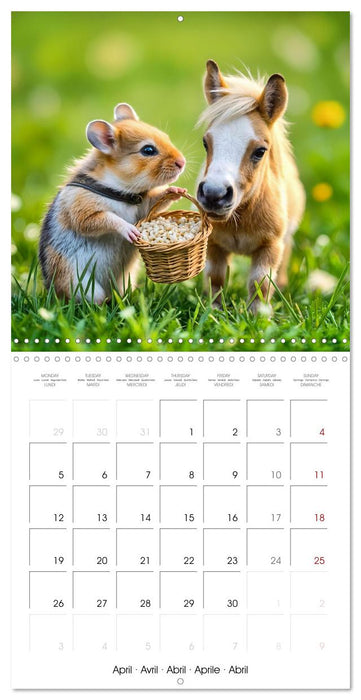 Hamster heart and paw friends (CALVENDO Monthly Calendar 2027)
