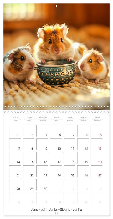 Hamster heart and paw friends (CALVENDO Monthly Calendar 2027)