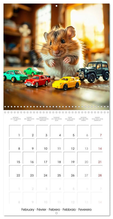 Small paws and great playfulness (CALVENDO Monthly Calendar 2027)