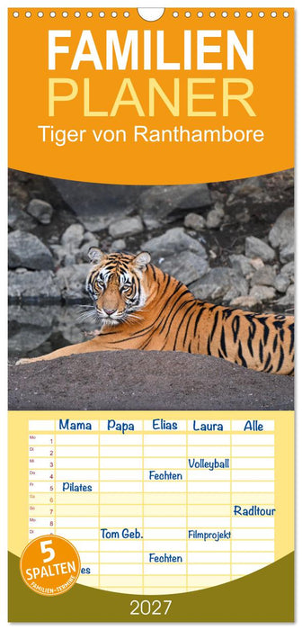 Tiger von Ranthambore (CALVENDO Familienplaner 2027)