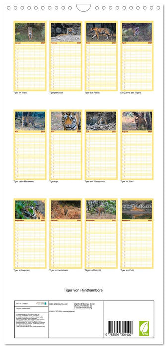 Tiger von Ranthambore (CALVENDO Familienplaner 2027)