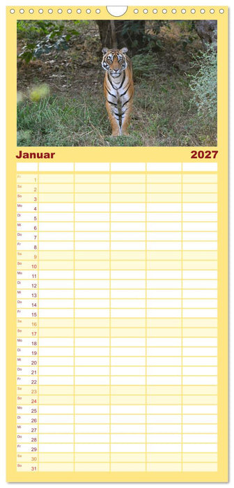 Tiger von Ranthambore (CALVENDO Familienplaner 2027)