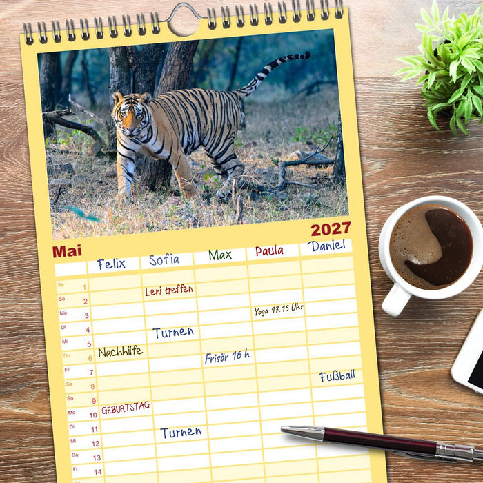 Tiger von Ranthambore (CALVENDO Familienplaner 2027)
