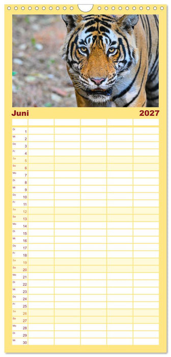 Tiger von Ranthambore (CALVENDO Familienplaner 2027)