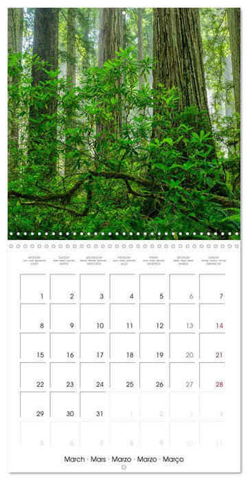 Dreaming California (CALVENDO Monthly Calendar 2027)