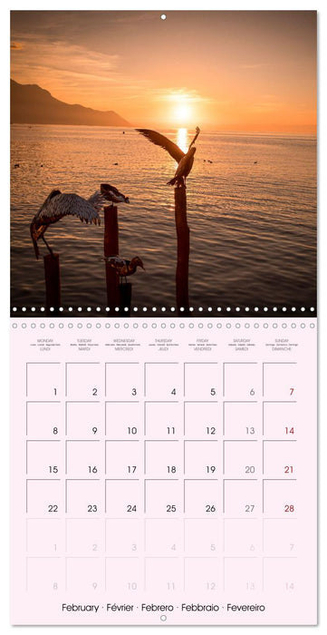 Evasion à Montreux (CALVENDO Calendrier mensuel 2027)
