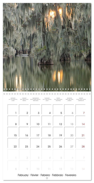 Mississippi Delta, Magic Swamps (CALVENDO Monthly Calendar 2027)