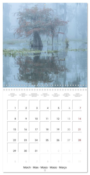 Mississippi Delta, Magic Swamps (CALVENDO Monthly Calendar 2027)