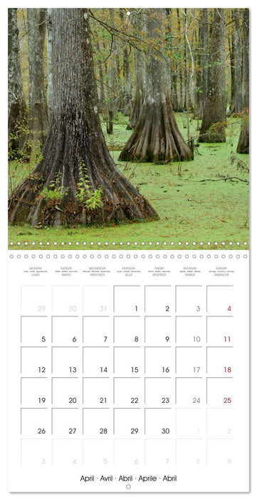 Mississippi Delta, Magic Swamps (CALVENDO Monthly Calendar 2027)