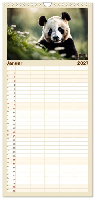 Großer Pandabär (CALVENDO Familienplaner 2027)