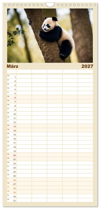 Großer Pandabär (CALVENDO Familienplaner 2027)