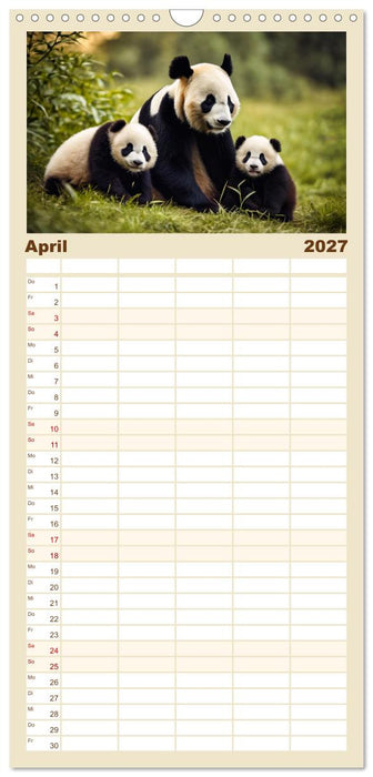 Großer Pandabär (CALVENDO Familienplaner 2027)